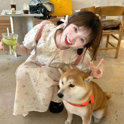 护花惊情