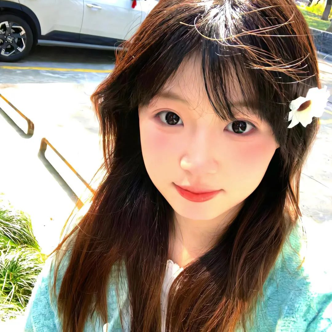 彩叶草之梦